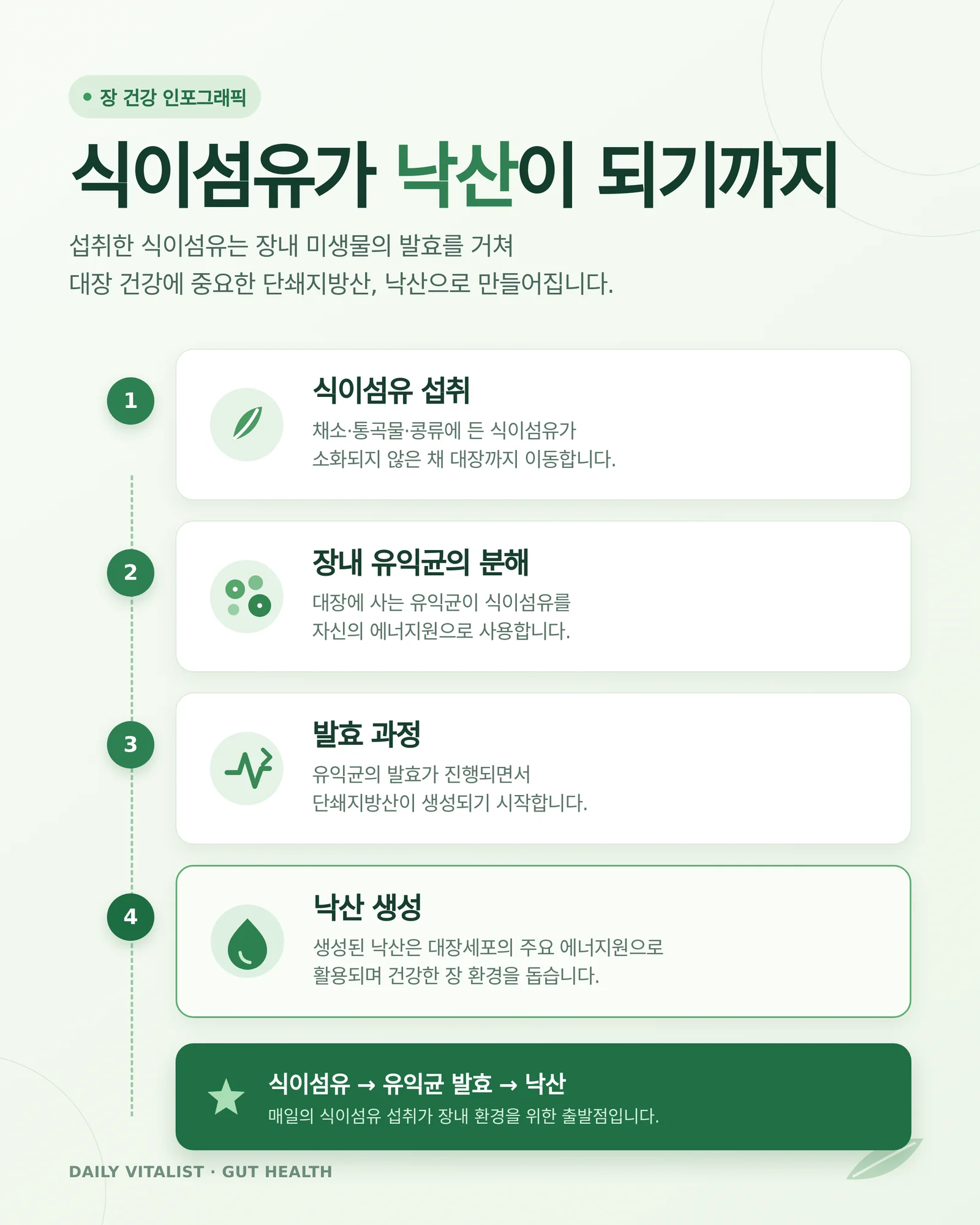 부티르산 관련 식품과 생활 이미지